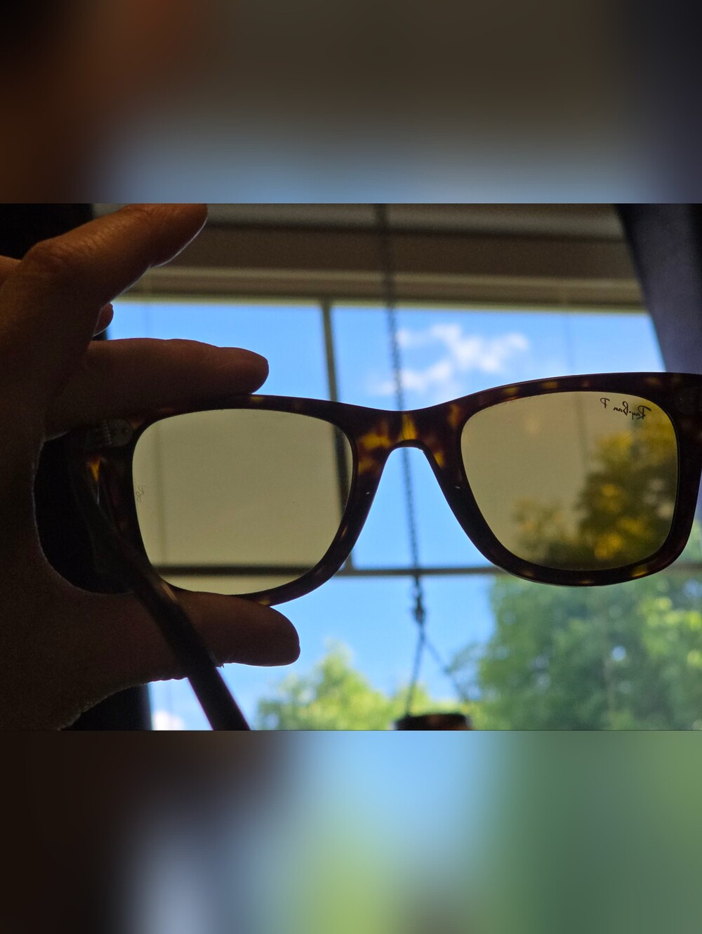 RAYBAN Wayfarer Sunglasses - Picture 3 of 10